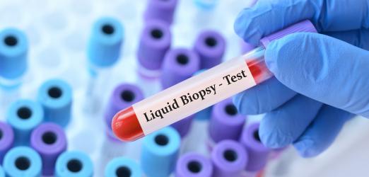 Imaging and Radiology