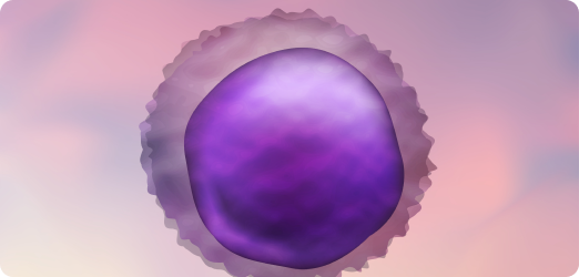 Imaging and Radiology