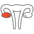 treatment-of-menstrual-problems